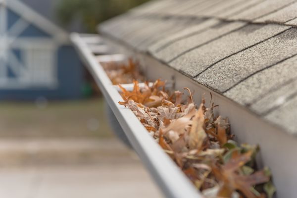 Leaf Barrier Installation in Parrish